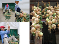 ���̤ͤ��������Ԥ�ǡ��������ߤ뤷����¸ 