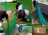 ����ʥ����������ˡ�ν��� 