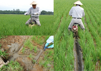 �����ơʹ��ڤ�� 