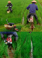 ��Ω�ơʹ��ڤ�� 