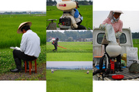 �������ۡ�����ޤ��� 