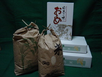 �¿���������ǧ�Ѥ� 