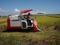 ����Х���Ǵ����� 