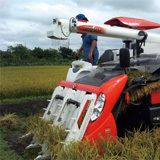 ��Ĵ�˴�����New����Х��� 