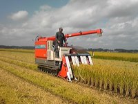 ��Ĵ����Ĵ�� 