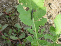 �����Ƥ�Ȥ������������Ῡ�� 