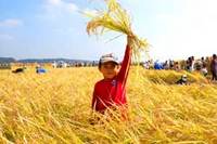 ���ä������������ 