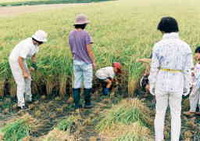 ԤγͤȽΰ𴢤ή񡣻ҶãǴĥޤ