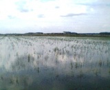 ��Ļ���褿�Ĥ�ܡ��ɤ��ˤ��뤫����������ʬ����ޤ���͡� 