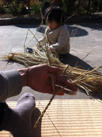 򲿽ܤĤޤ򿨤äƴΤޤ 