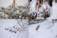 ɹ�����ξ�� 