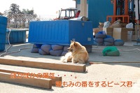 �ݤ��ݤ����۵����������ߤ�ĥ��ԡ����� 