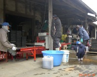 ����²���С� 