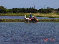 �Ŀ��������� 