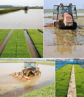 2��Υȥ饯�����夫�� 