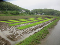 ������������Ŀ����˴֤˹礤�����Ǥ��� 