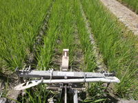 ���ڤ��� 