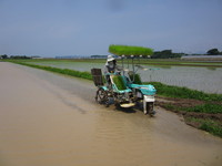 �ߤΤ뼰�ݥåȤ��Ŀ����򤷤Ƥ��ޤ��� 