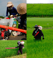 2���ܤ�����ޤ����������ۡ������ 