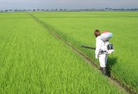 ������� 