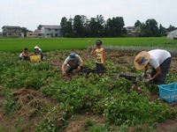 ���㤬���ⷡ����ͻ� 