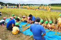 �ߤ�ʤ���ФäƤޤ��������磻���� 