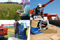 �����ơ����Ƥΰ𴢤곫�ϡ� 