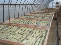 ŷ�������� 