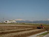 (ͭ)եࡦ󡦥ӥåηʿʸनΩĤΤϷǤ