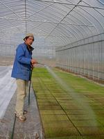 䤯١ˣĤΤꡢǤĤƤƤޤΤǡѤǤ