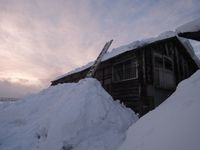 �ɤ�ɤ��Ѥ��ޤ��� 