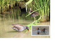 �����ޤ��Ƥ���ǤȤ��������ޤ� 