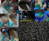 Ŵ�����ƥ��󥰺�� 