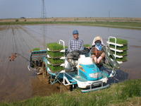 ��Ĺ����̳v(*��o��*)v 