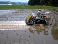 ��ޥ���Ǥ��� 