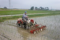 ���ѽ��� 