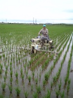 ���ѽ��� 