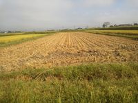 �����餷���ɤ��ʤ�ޤ����� 