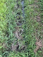 ϩϤ̵ĤηͤǿΥӤ餷Ƥ뤬ѤĤη̵ͤ