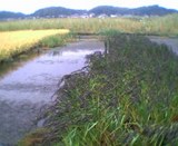 ���⿧�����桦������ 