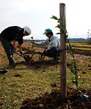 ��ǫ�ˤҤȤĤҤȤĿ����Ƥ����ޤ� 