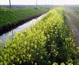 �ڤβ֤⤽�����������Ǥ� 