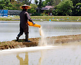 ���������Τ��ᡢ�Ƥ̤���ޤ� 