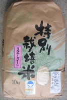 �ߥ륭���������� 