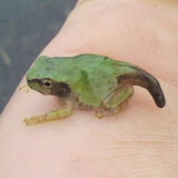 �������ĤäƤ��ޤ��������ʤ�Ȥʤ������ޤ��㤯�����̱Ƥ�����ޤ��� 