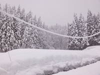 �����椢����˸����������ˤ⤺�ä����Ѥ�äơ���첼���äƤ��ޤ��� 