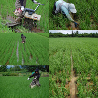 �����ơʹ��ڤ�� 