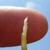 ������֤����Ǥ��� 