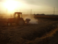 �٤�Ƥ���ͭ���ܤ������ۤ褦�䤯��λ���ޤ����� 