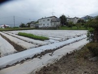 �ͻ��Ѥ���Ω�� 